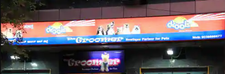 The Groomer Boutique Parlour For Pets - Jayanagar - Bengaluru