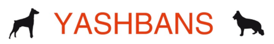 Yashbans Kennels - Hennur Main Road - Bengaluru