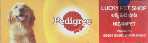 Lucky Pet Shop - Nizampet - Hyderabad