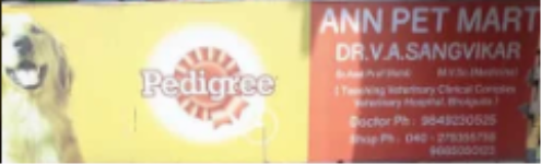 Ann Pet Mart - Sainikpuri - Hyderabad