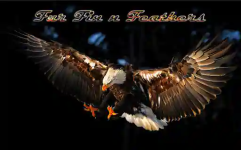 Fur Fin N Feathers - Aliabad - Hyderabad