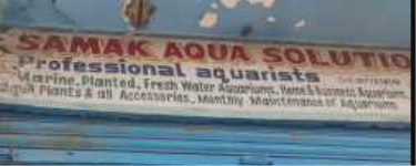 Samak Aqua And Pet Solutions - Miyapur - Hyderabad