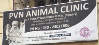 Pvn Animal Clinic - Vanasthalipuram - Hyderabad