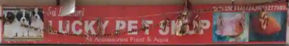 Lucky Pet Shop - Marredpally - Hyderabad