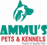 Ammu Pets - Banjara Hills - Hyderabad