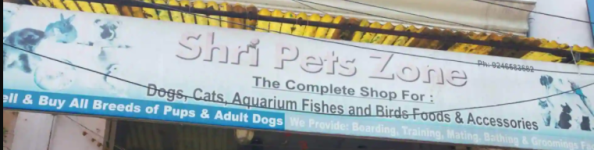 Shri Pets Zone - Narayanguda - Hyderabad