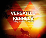 Versatile Kennels - As Rao Nagar - Hyderabad