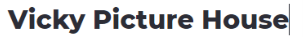 Vicky Picture House - Kotla Mubarakpur - Delhi