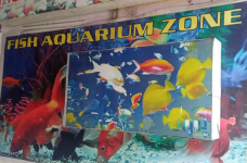 Fish Aquarium Zone - Govindpuri - Delhi