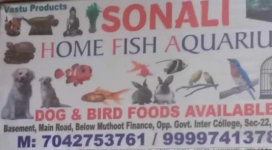 Sonali Home Fish Aquarium - Sector 22 - Noida