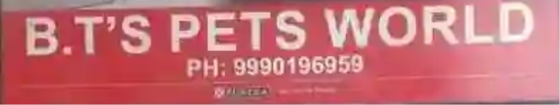 Bts Pets World - Rk Puram - Delhi