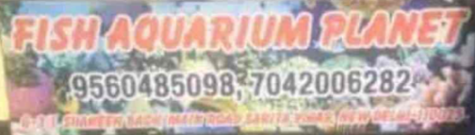Fish Planet Aquamarin - Jamia Nagar - Delhi