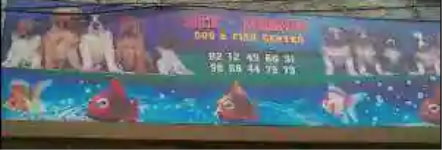 Fish & Pet Centre - Karol Bagh - Delhi