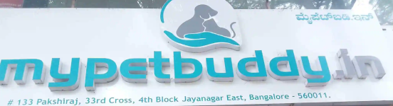 Mypetbuddy - The Pet Store - Jayanagar - Bengaluru