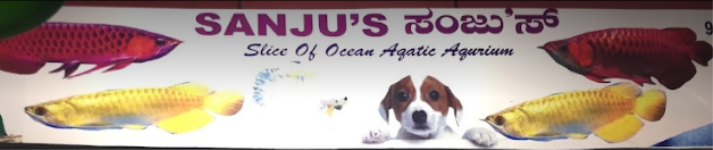 Sanjus Slice Of Ocean Equipments - Koramangala - Bengaluru
