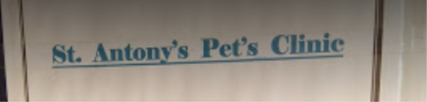 St. Antonys Pet Clinic And Pet Shop - Electronic City - Bengaluru