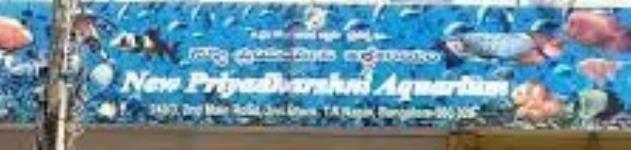 New Priyadarshini Aquarium - Thyagaraja Nagar - Bengaluru