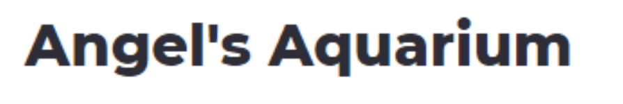 Angels Aquarium - Madiwala - Bengaluru