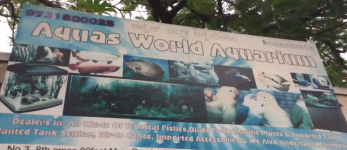 Aquas World Aquarium - BTM Layout 1st Stage - Bengaluru