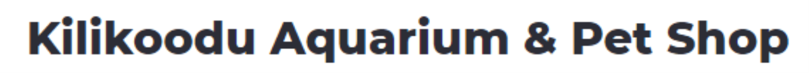 Kilikoodu Aquarium & Pet Shop - Nemmara - Palakkad