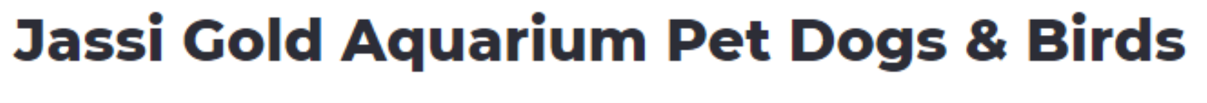 Jassi Gold Aquarium & Pet Shop - Badal Colony - Zirakpur