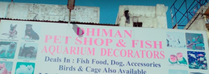 Dhiman Pet Shop - Ambala Road - Zirakpur