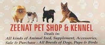 Zeenat Pet Shop - Sector 47-C - Chandigarh