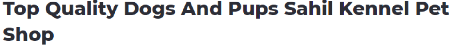 Top Quality Dogs And Pups Sahil Kennel Pet Shop - Sector 21 - Chandigarh