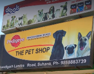 The Pet Shop Mohali - Sohana - Mohali