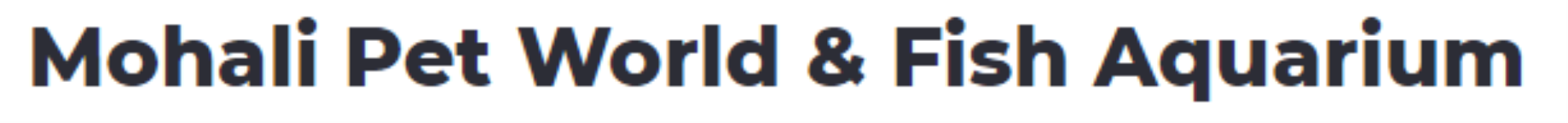 Mohali Pet World And Fish Aquarium - Mohali - Chandigarh