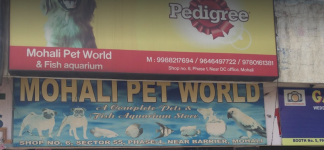 Mohali Pet World - Mohali - Chandigarh