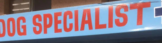 Dog Specialist Clinic - Sector 4 - Panchkula