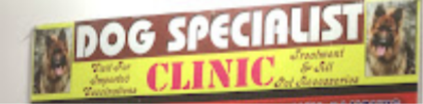 Dog Specialist Clinic - Sector 4 - Panchkula