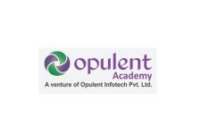 Opulent Infotech Private Limited - Dhankawadi - Pune