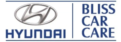 Bliss Car Care - Badshahpur - Gurgaon