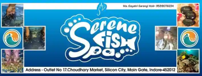 Serene Fish Spa - Rau - Indore