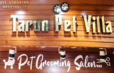 Tarun Pet Villa - Anand Vihar - Delhi