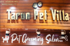 Tarun Pet Villa - Anand Vihar - Delhi