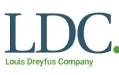 Louis Dreyfus Commodities India - DLF Phase 3 - Gurugram