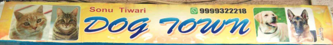 Dog Town - Govindpuram - Ghaziabad