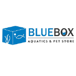 BLUEBOX AQUATICS - Sector 23 - Gurugram