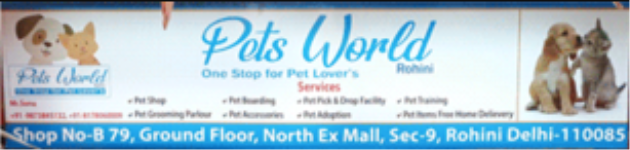 Pets World - Rohini - Delhi