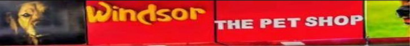 Windsor The Pet Shop - Rabindra Nagar - Delhi