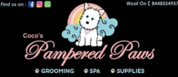 Cocos Pampered Paws - Vikaspuri - Delhi