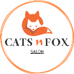 Cats N Fox - Jankipuram Extension - Lucknow