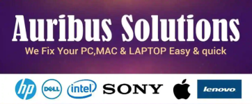 Auribus Solutions - Vishrantwadi - Pune