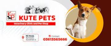 Kute Pets - Barowari - Guwahati
