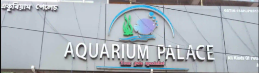 Aquarium Palace - Hatigaon - Guwahati
