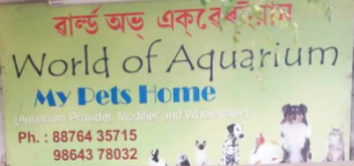 World Of Aquarium - Tiniali - Guwahati
