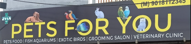 Pets For U - Jammu Tawi - Jammu